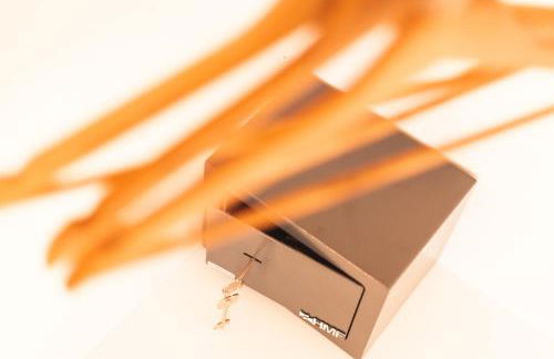 Pfälzer Herzel mit 2 Schlafzimmern und Blick über die Rheinebene kostenfreiem Parkplatz und Wlan fußläufig zum Wald und den Weinbergen Weinkühlschrank Brötchenservice Garten mit Gasgrill - Foto 19