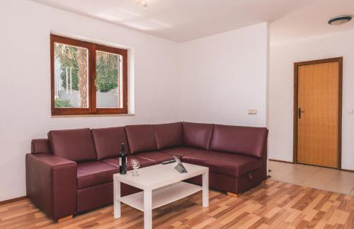 Apartments Micic - Foto 43