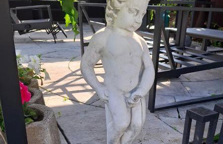 Marcowe Kąty-Przestrzeń na wypoczynek, odpocznij w ciszy i naturze, tylko 7 minut od Sandomierza - Foto 31