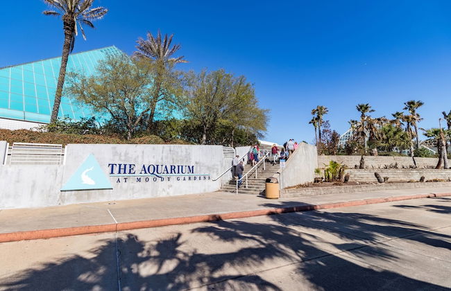 Ocean Pearl - Foto 28