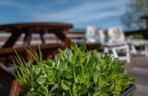 Huus achtern Diek - Foto 25