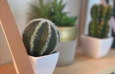 Mid Century Modern Montana Dream Home - Foto 30