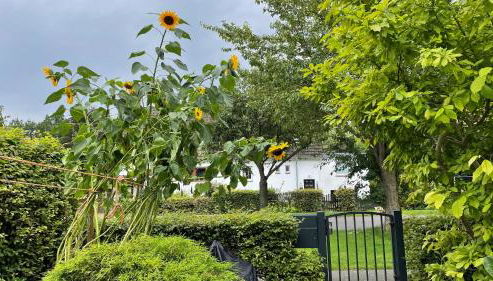 Ruhiges Zimmer zentral - Foto 4