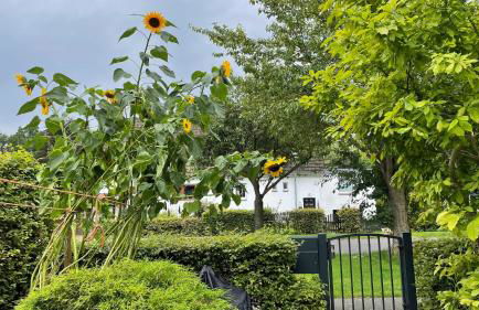 Ruhiges Zimmer zentral - Photo 4