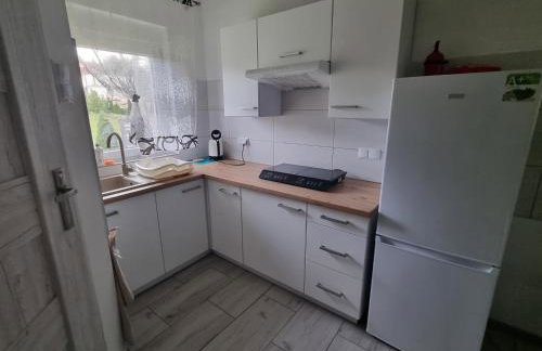 Domki Boszkowo-Dominice Bliźniak 2 apartamenty - Foto 5