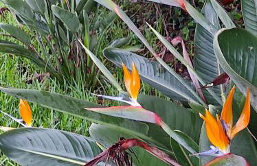 Casa do Alto (top floor apartment) - Foto 57