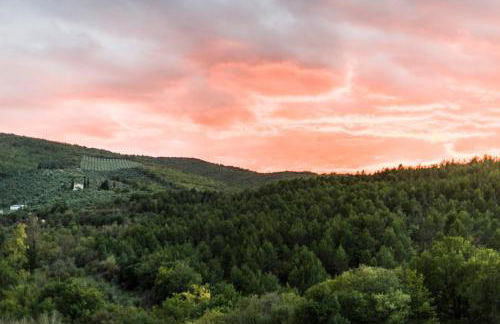 Tenuta San Felice - Foto 31
