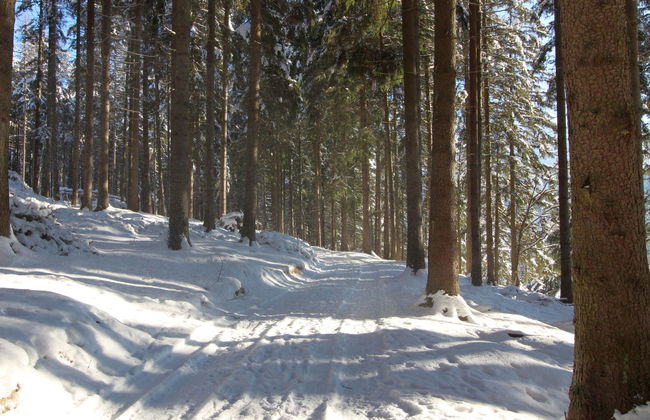 8 bedroom House in Harrachov with garden - Photo 37