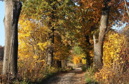 Dwór Barocco - Foto 34