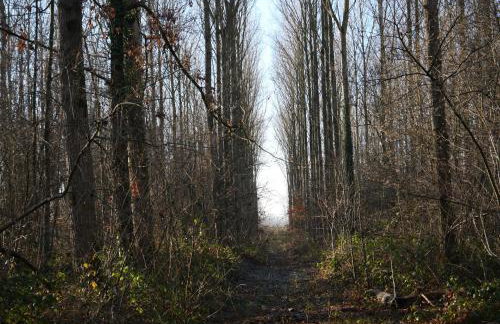 La cabane du chasseur - Foto 32