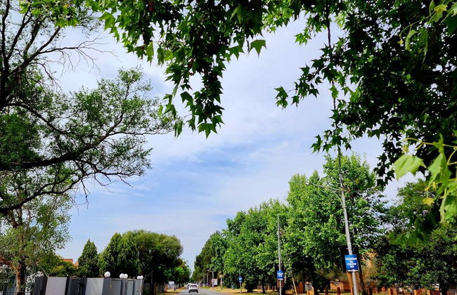 80 on Thabo - Foto 32