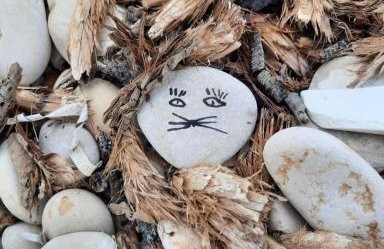 Apartment Olive Istra - Foto 23