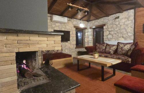 Κτήμα Βασίληγιάννη - Foto 39