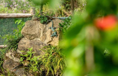 Country House Villa Nigro - Foto 65