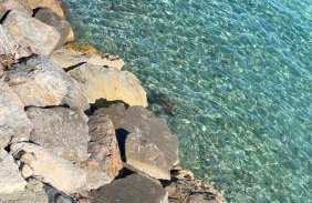 VillaMarzia - Foto 9