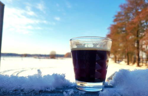 NEU Luxuriöses Tinyhaus Ferienhaus FREYR einmalig in Lübbenau - Foto 24
