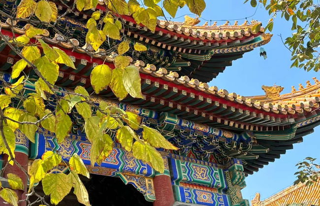 Biglietti per il Tempio dei Lama - Foto 2