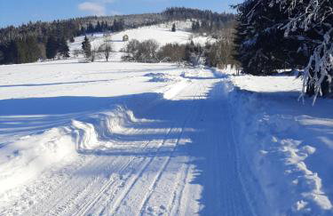 Antracytowe Domki w Górach Sowich - Foto 23