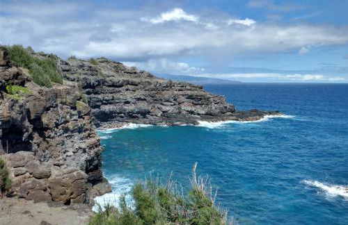 Hale Mai Hopohopo - Foto 39