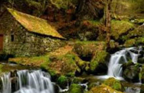 Joli appartement à Murat proche du Lioran Cantal - Photo 9