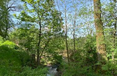 Ferien-und Monteurwohnung 'Friedersdorfer Mühle' - Foto 28