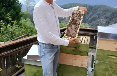 Lechnerhof - Clara´s Mountain Lodge - Photo 12