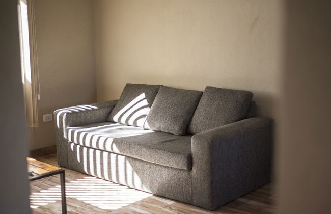 Olivos de Monte - Foto 24