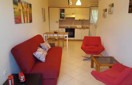 Patras Palm Tree - Foto 38