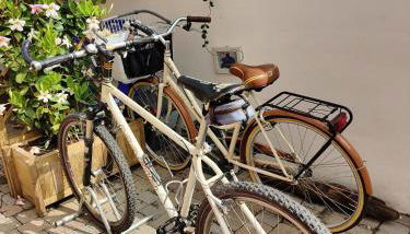 Stella Marina a 100 MT dal mare - Foto 2