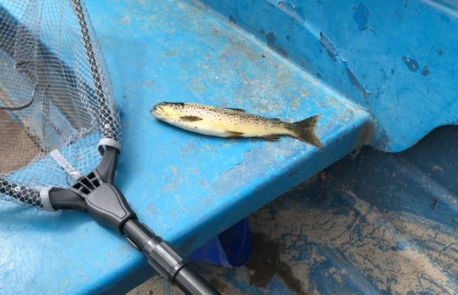 The Old Scout Hall - Foto 16