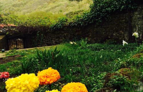 Hotel rural El Jardin del Conde - Foto 17