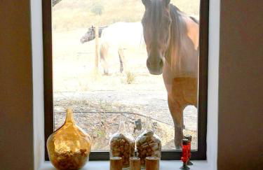 Sharish - Monte Das Estevas - Foto 26