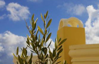 Cultural House - Foto 22