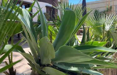 Kite Holiday House Tarifa - Photo 17