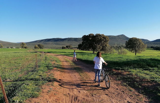 Cortijo Vizconde - Photo 47