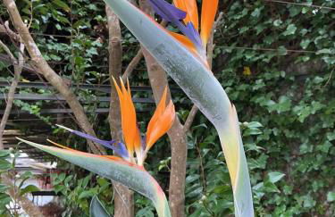 Casa Žerotín - Foto 34