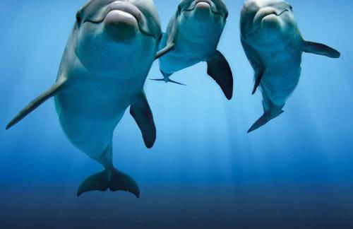 Regent Côte d'Azur air-conditioned, pool, garden & parking - Foto 66