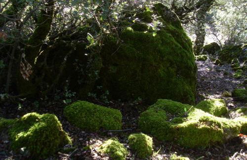 Casas Rurales Cortijos el Encinar - Foto 48