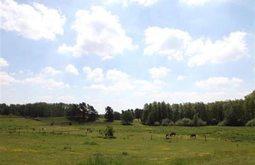Ferienhaus am Garder See Inselblick - Foto 45