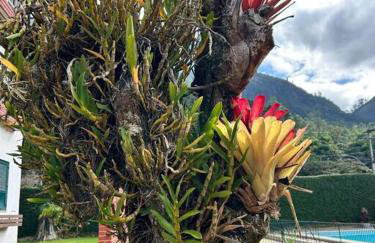 Refúgio na Serra Condomínio em Olaria, Nova Friburgo-RJ - Foto 77