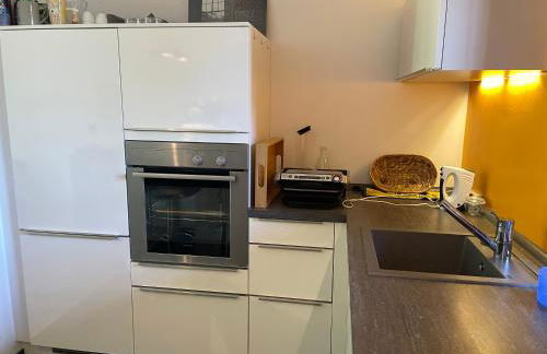 Messe- und Ferienwohnung mit Dachterrasse am Fluss - Foto 9