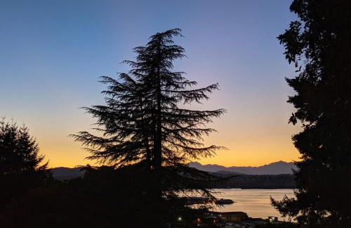 Urban Outlook - Foto 27