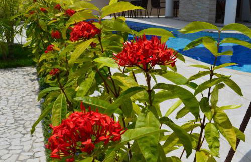 Residencial Portinari LTDA - Foto 48