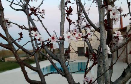 Villa Evinoi - Foto 19