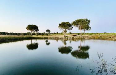 Casas das Piçarras - Alentejo - Foto 13