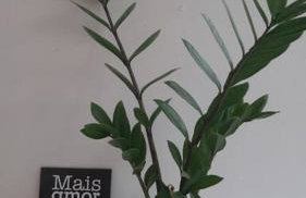 Casa espaçosa bem localizada em Maricá! - Foto 46