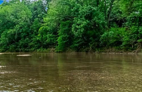 Riverfront Oasis 2 - Foto 31