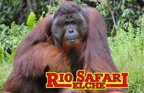 Villamartin Gardens Orihuela Costa - Foto 35