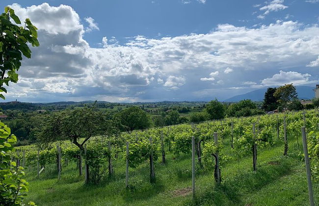 Premium Private Prosecco Hills Tour - 2 Cantine. Tour privato. - Foto 10