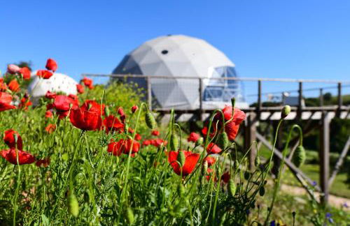 wecamp Reserva Alecrim - Foto 130